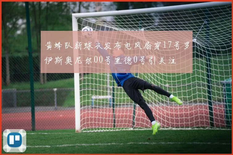 黄蜂队新球衣发布电风扇穿17号罗伊斯奥尼尔00号里德0号引关注
