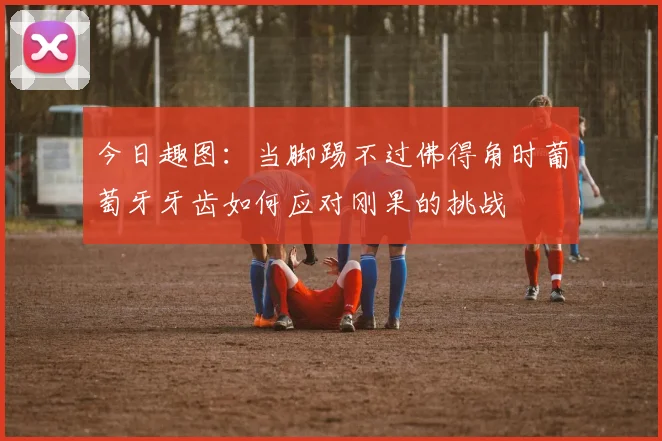 今日趣图：当脚踢不过佛得角时葡萄牙牙齿如何应对刚果的挑战