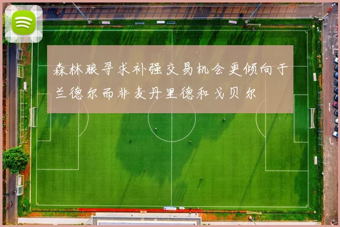 森林狼寻求补强交易机会更倾向于兰德尔而非麦丹里德和戈贝尔